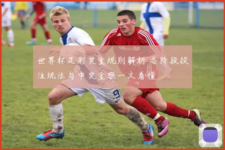 世界杯足彩奖金规则解析 各阶段投注玩法与中奖金额一文看懂