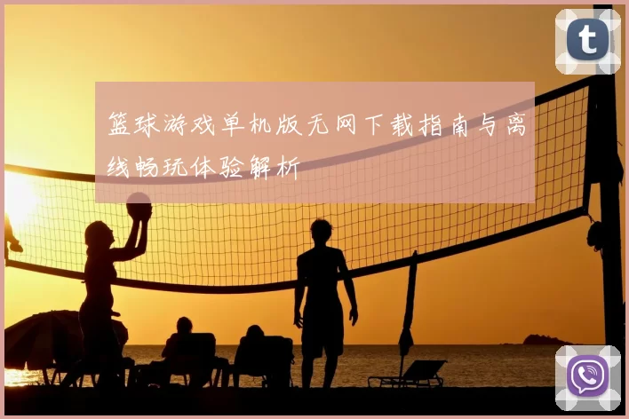 篮球游戏单机版无网下载指南与离线畅玩体验解析